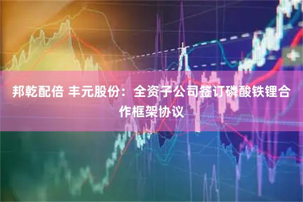 邦乾配倍 丰元股份：全资子公司签订磷酸铁锂合作框架协议