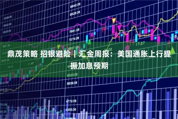 鼎茂策略 招银避险|汇金周报:美国通胀上行提振加息预期